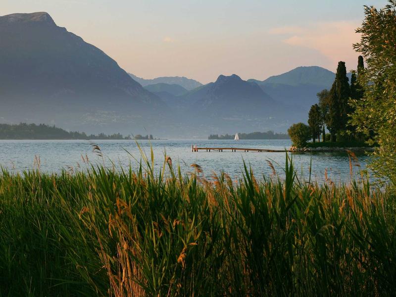 애플 주가 동향 2025